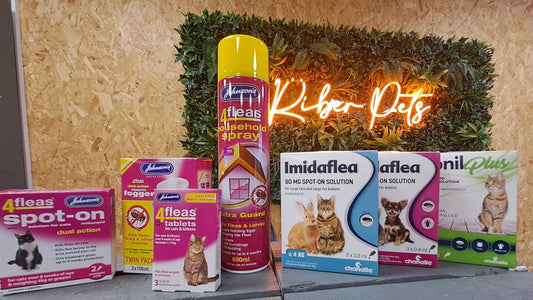 Flea Treatment For Cats: Options We Recommend
