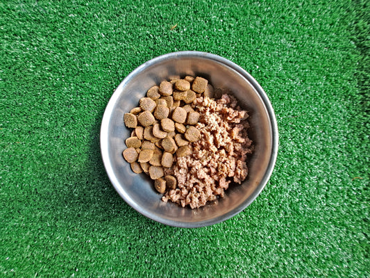 Dry dog food and wet dog food in a dog bowl