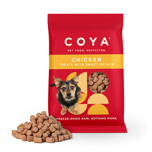 Coya Freeze Dried Dog Treats Chicken 40g