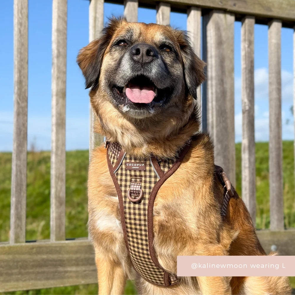 Cocopup London Explore Cotswolds Check Dog Harness