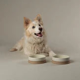Scruffs Scandi Non Tip Bowl Cream