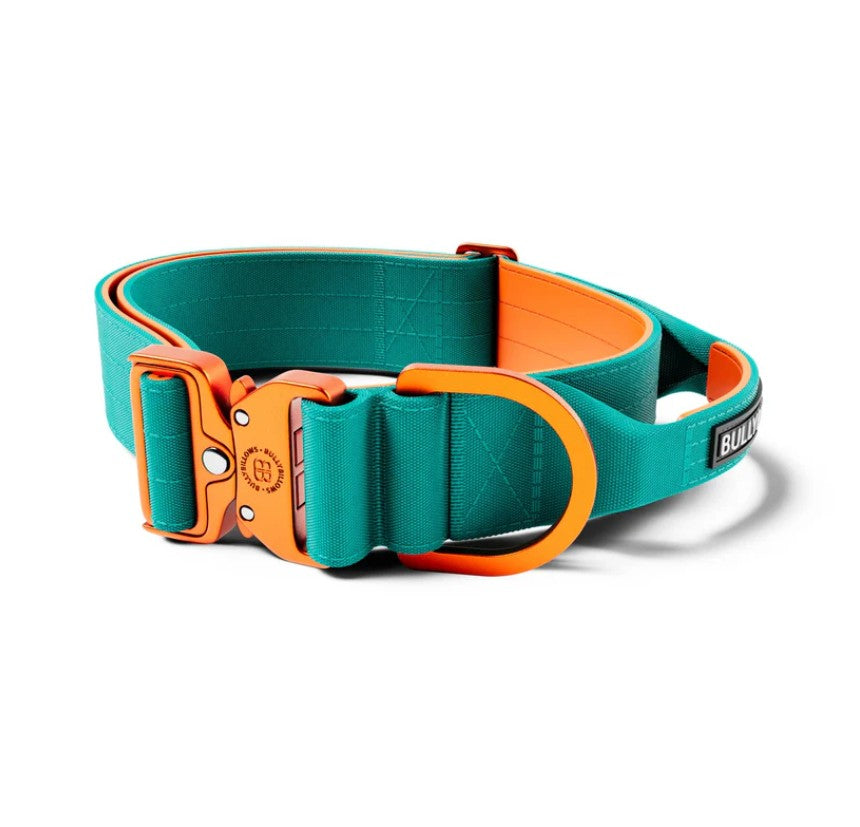 BullyBillows Lighter Combat Collar With Handle Rated Clip Turquoise & Orange