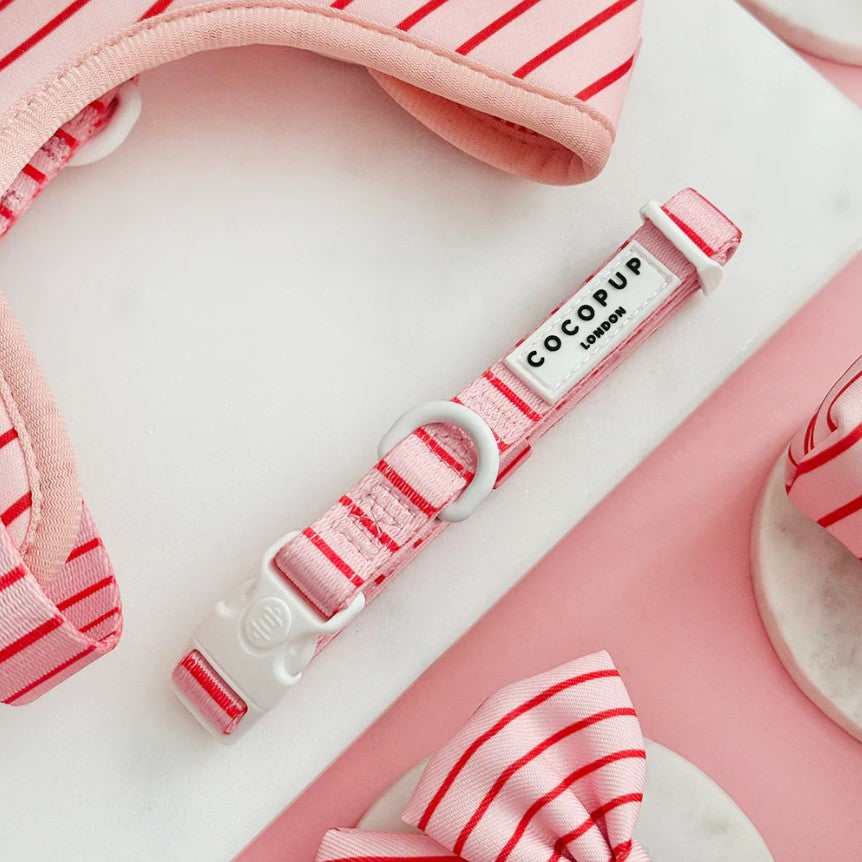 Cocopup London Candy Stripe Dog Collar