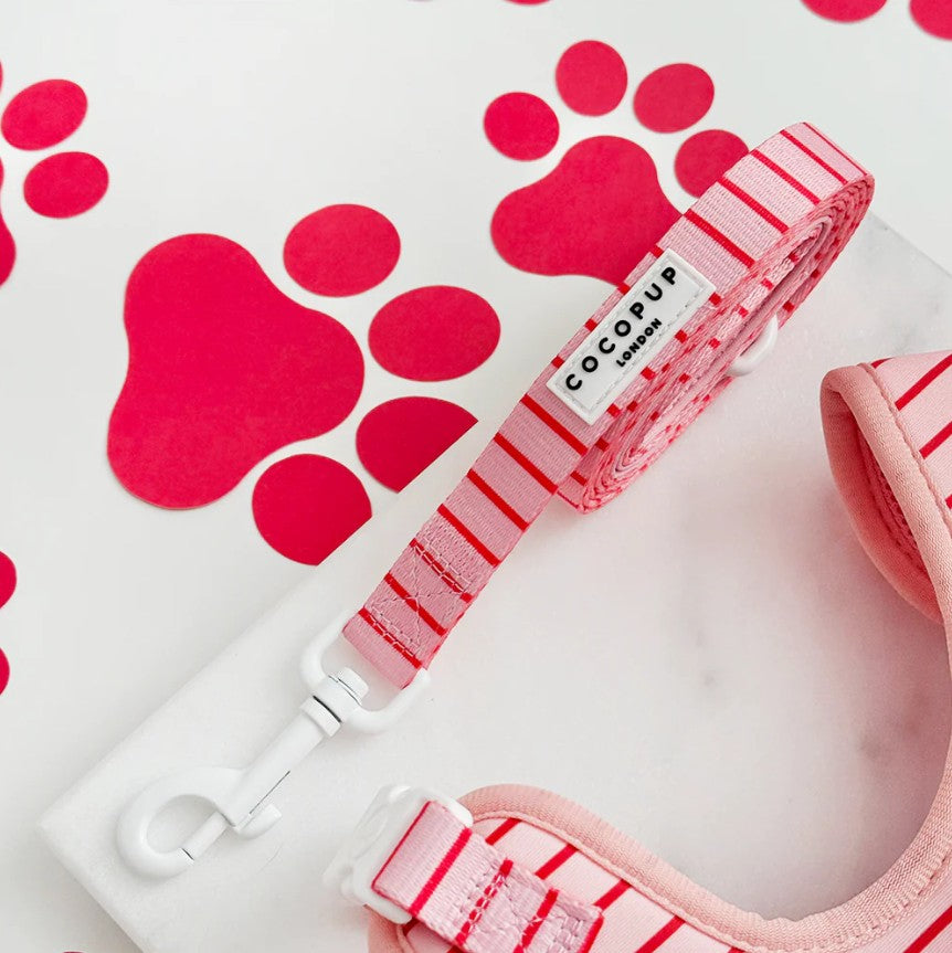 Cocopup London Candy Stripe Dog Lead