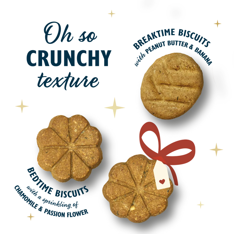 Lilys Kitchen Christmas Advent Calendar for Dogs