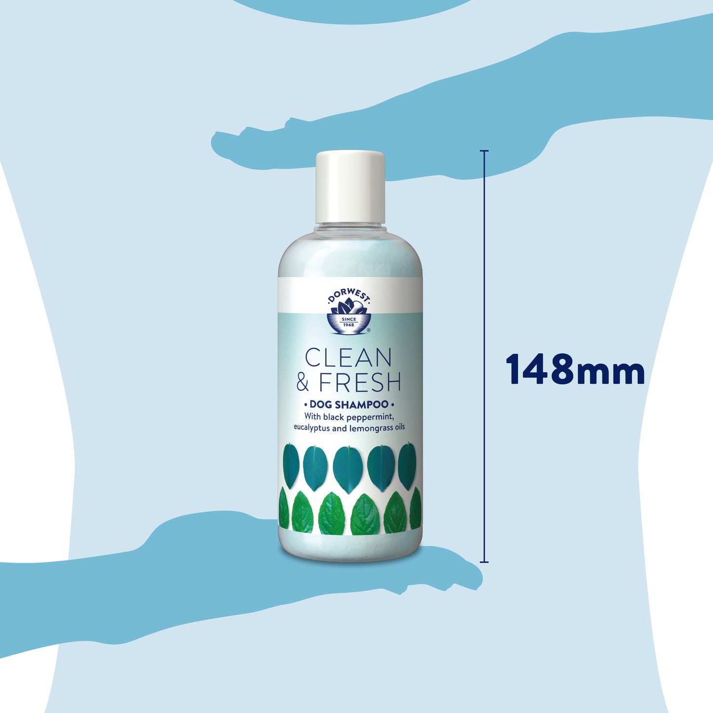 Dorwest Clean & Fresh Shampoo