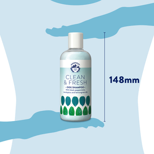 Dorwest Clean & Fresh Shampoo