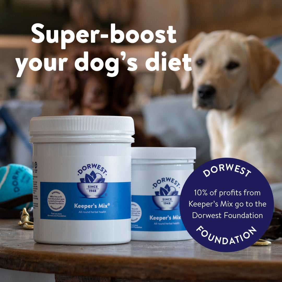 Dorwest Keeper's Mix For Dogs And Cats