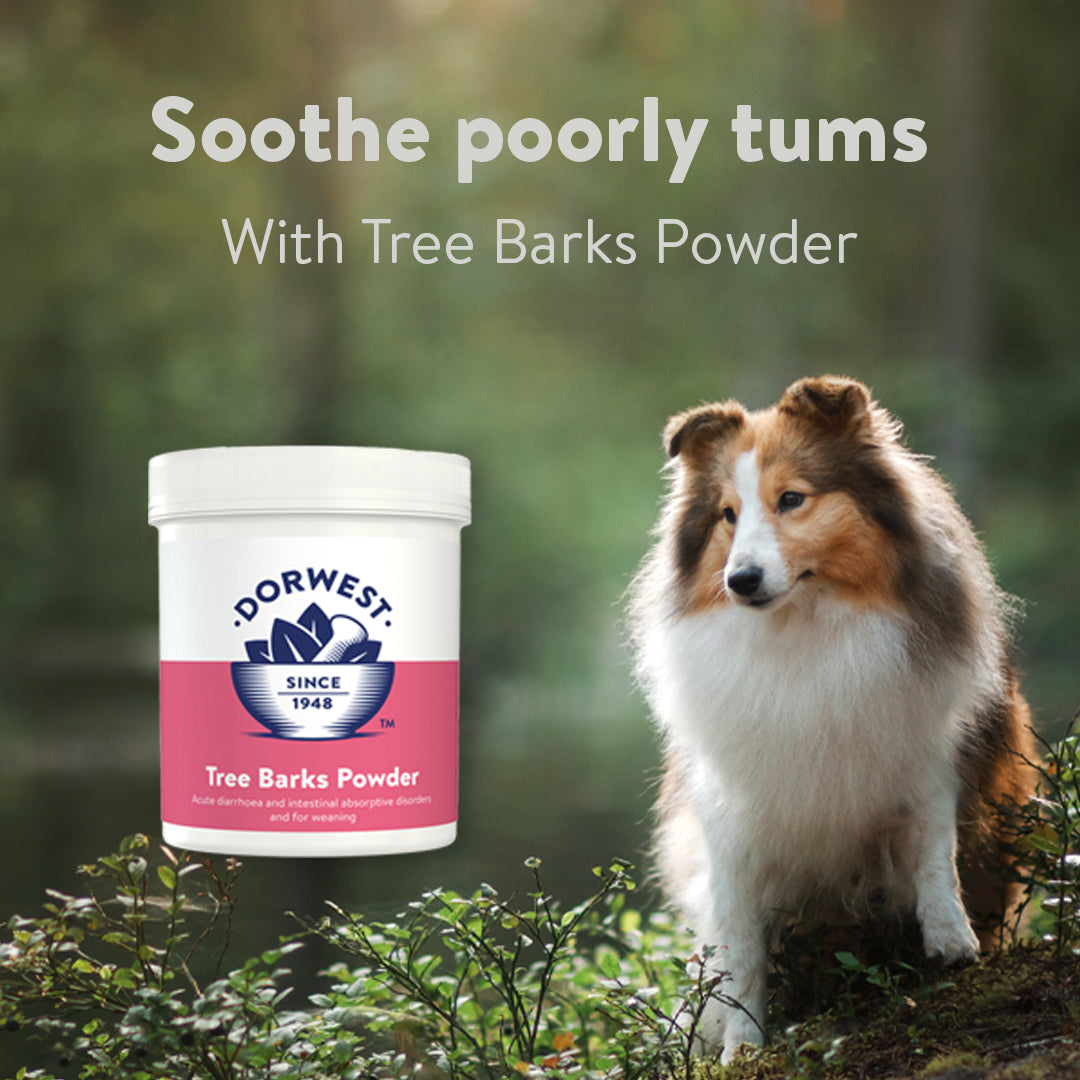 Dorwest Tree Barks Digestive Powder For Dogs And Cats