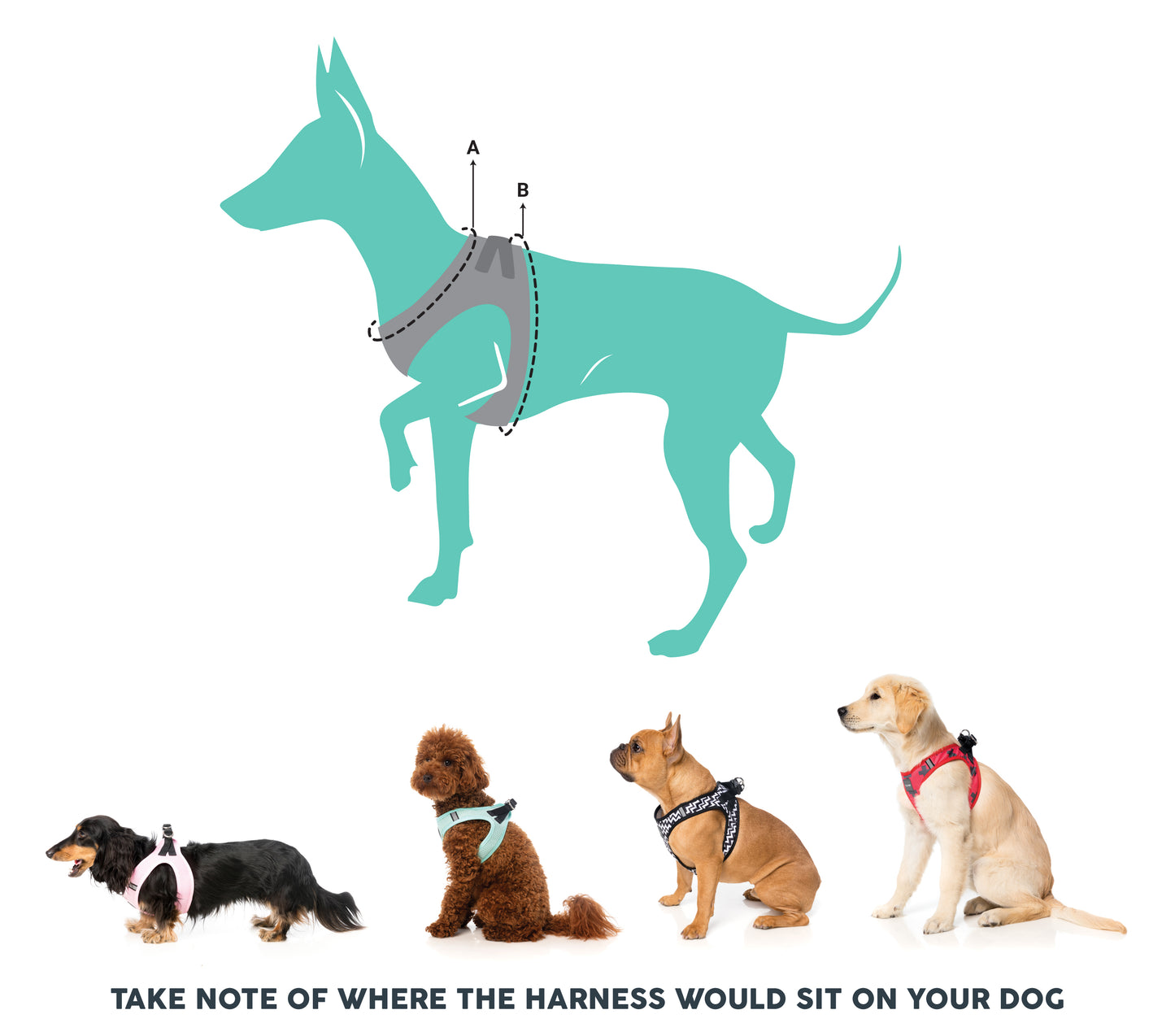 Fuzzyard Life Myrtle Green Step In Dog Harness