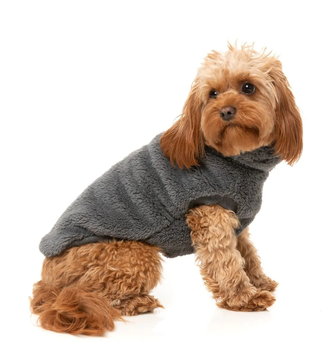 Fuzzyard Turtle Teddy Sweater Charcoal