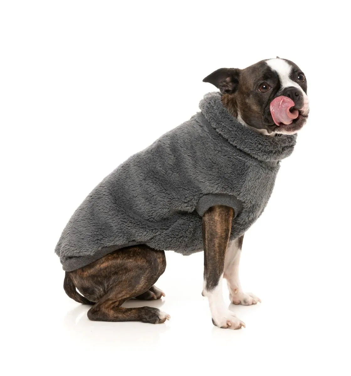 Fuzzyard Turtle Teddy Sweater Charcoal