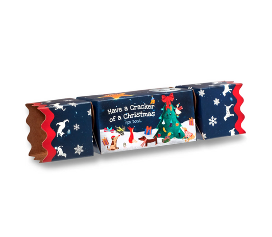 Green & Wild's Christmas Treat Cracker for Dogs 100g
