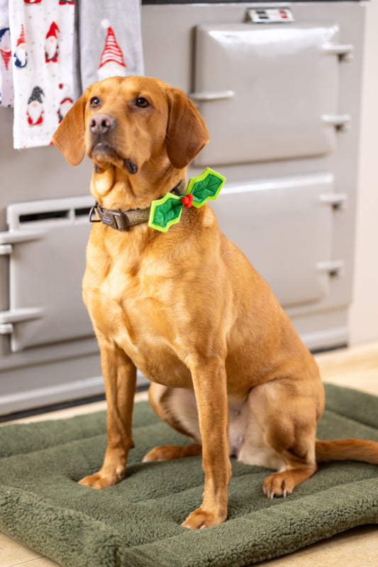 House of Paws Christmas Holly Pet Bow Tie