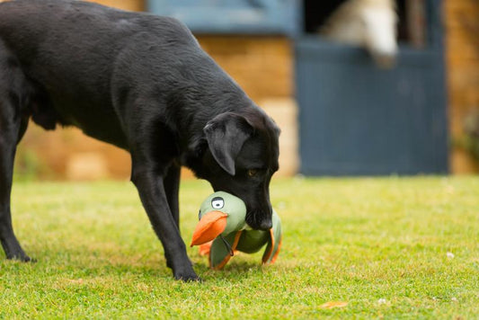 House of Paws Khaki XL Duck Canvas Toy