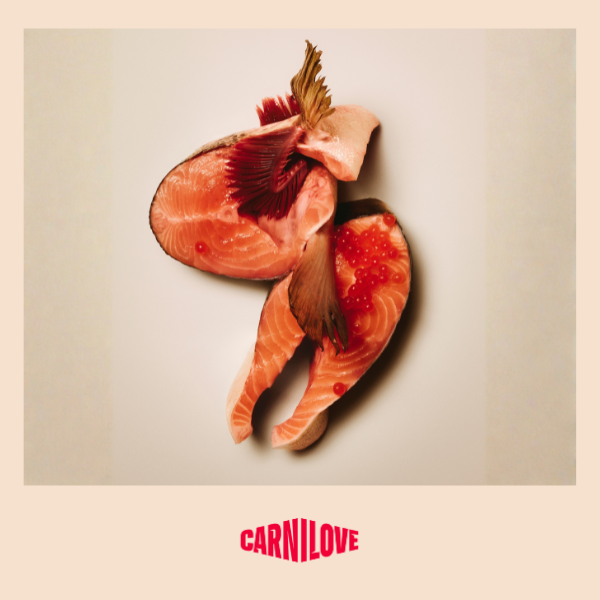 Carnilove Active Salmon & Turkey Dry Dog Food