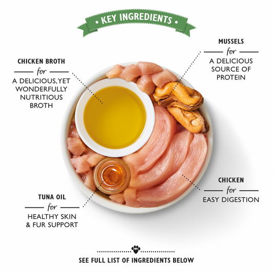 Lily's Kitchen Shredded Fillets Chicken & Mussels for Cats 70g