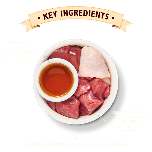 Lily's Kitchen Lamb Pate for Cats 85g