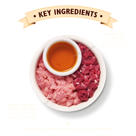 Lily's Kitchen Turkey & Duck Pate for Cats 85g