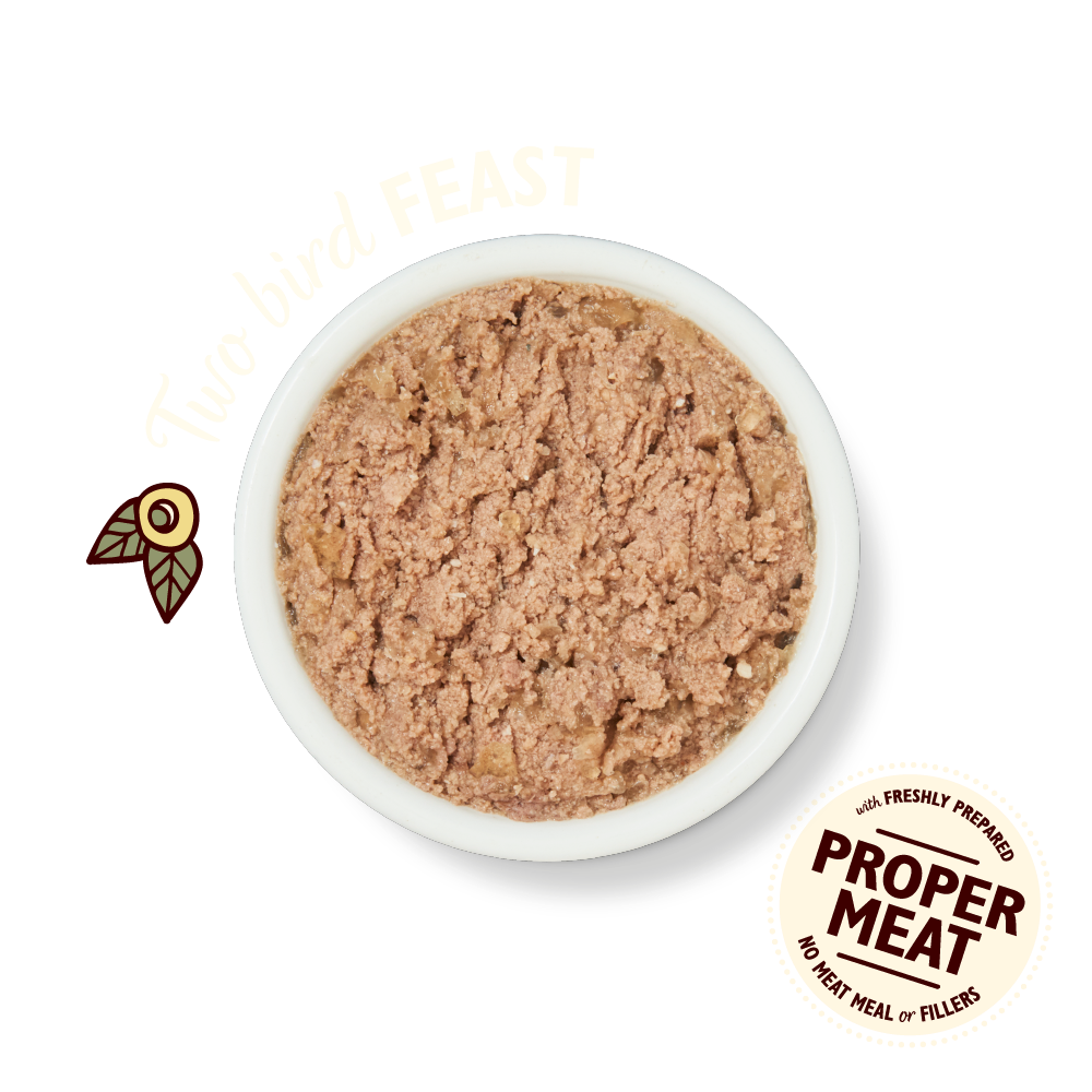 Lily's Kitchen Turkey & Duck Pate for Cats 85g