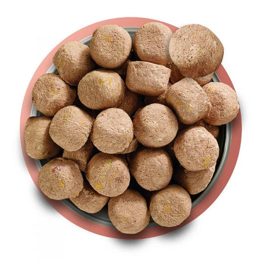 Natures Menu Complete Raw Freeze Dried Dog Food Beef Nuggets 250g
