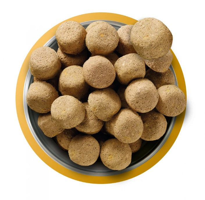 Natures Menu Complete Freeze Dried Dog Food Chicken Nuggets