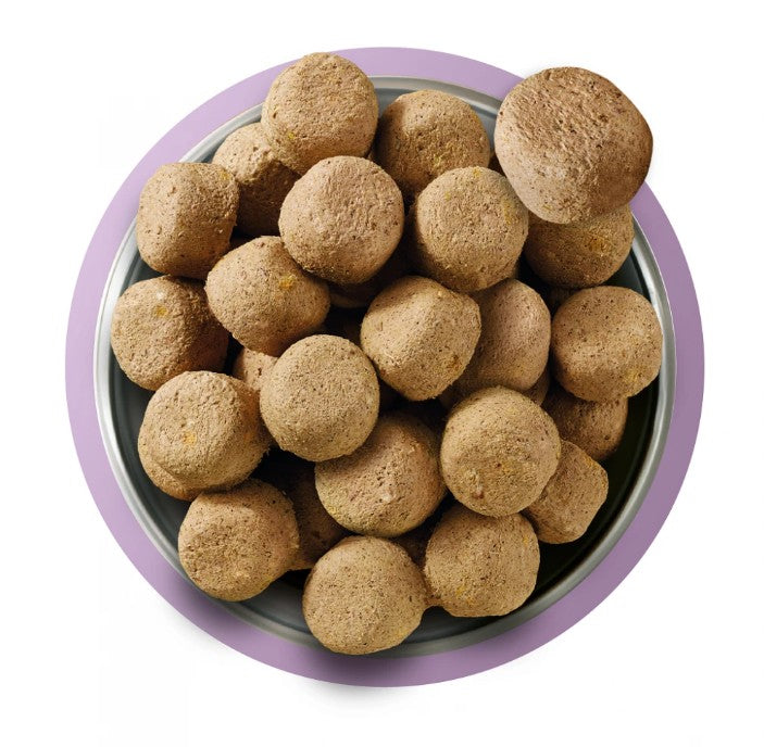 Natures Menu Complete Freeze Dried Dog Food Turkey Nuggets 120g