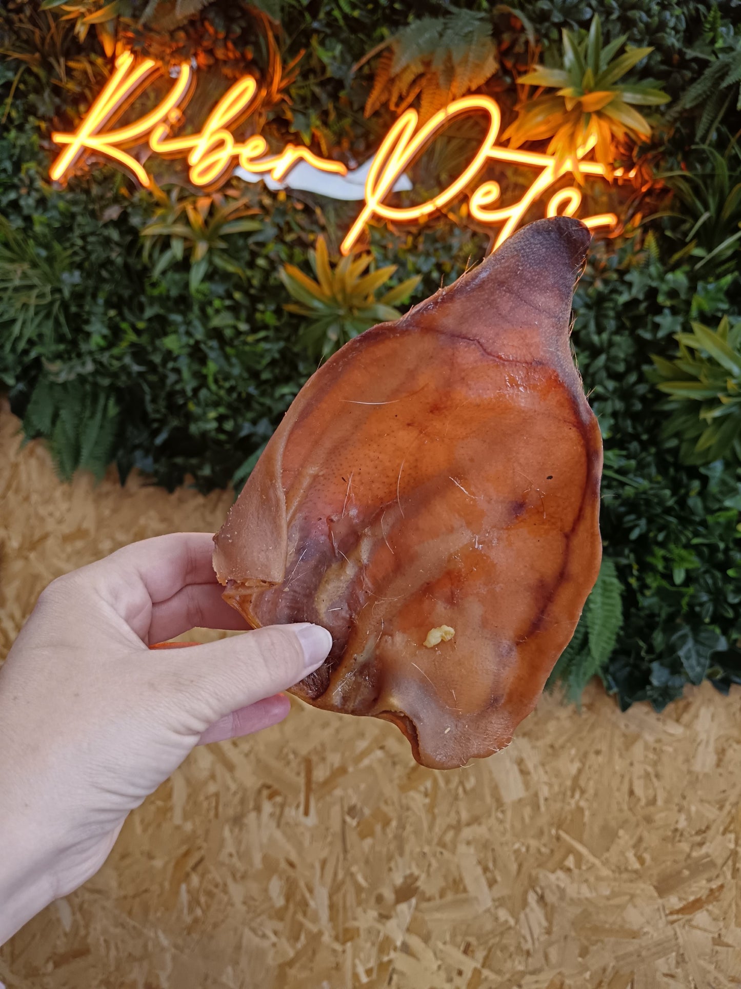 JR Pig Ear