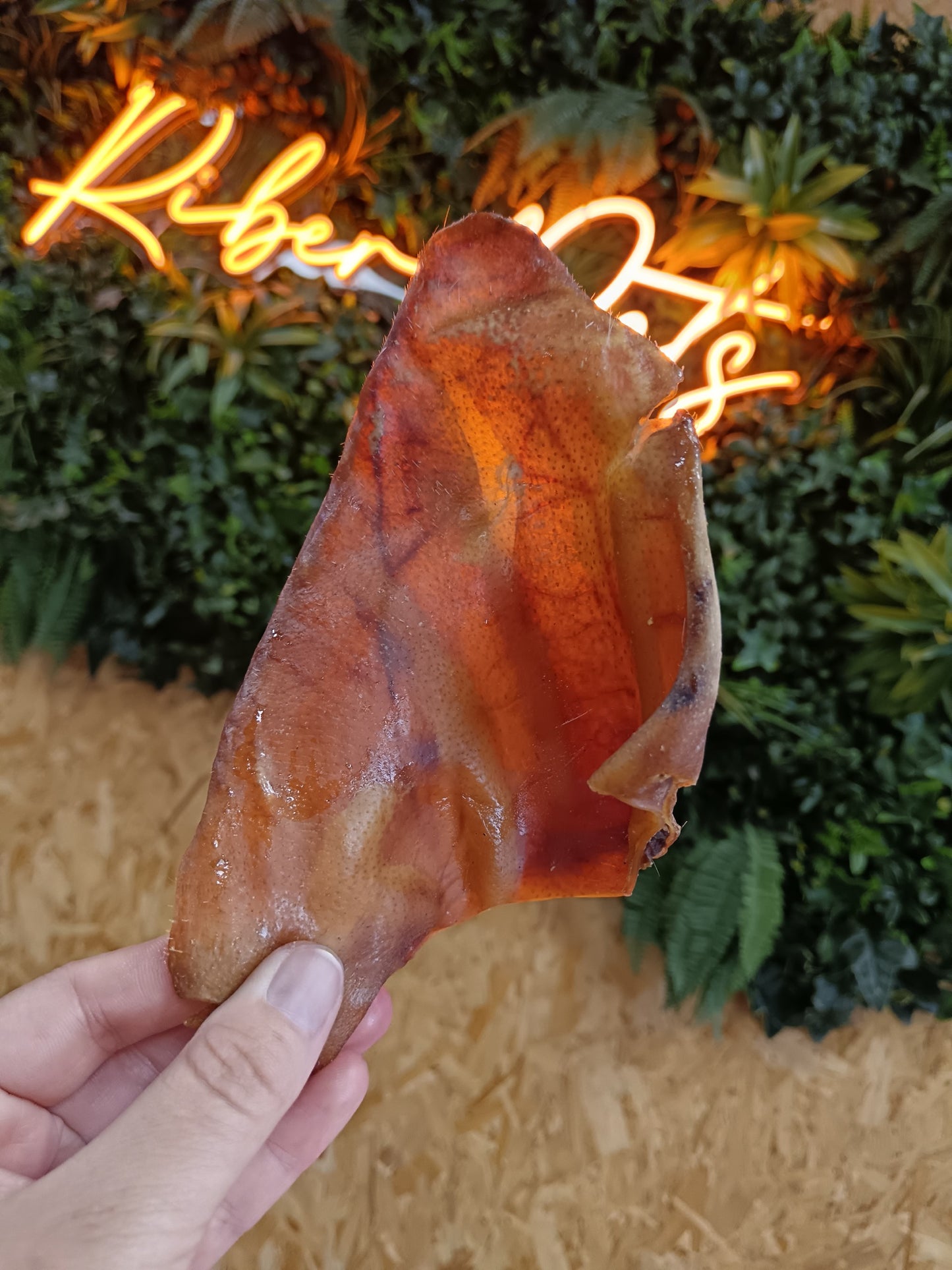 JR Pig Ear