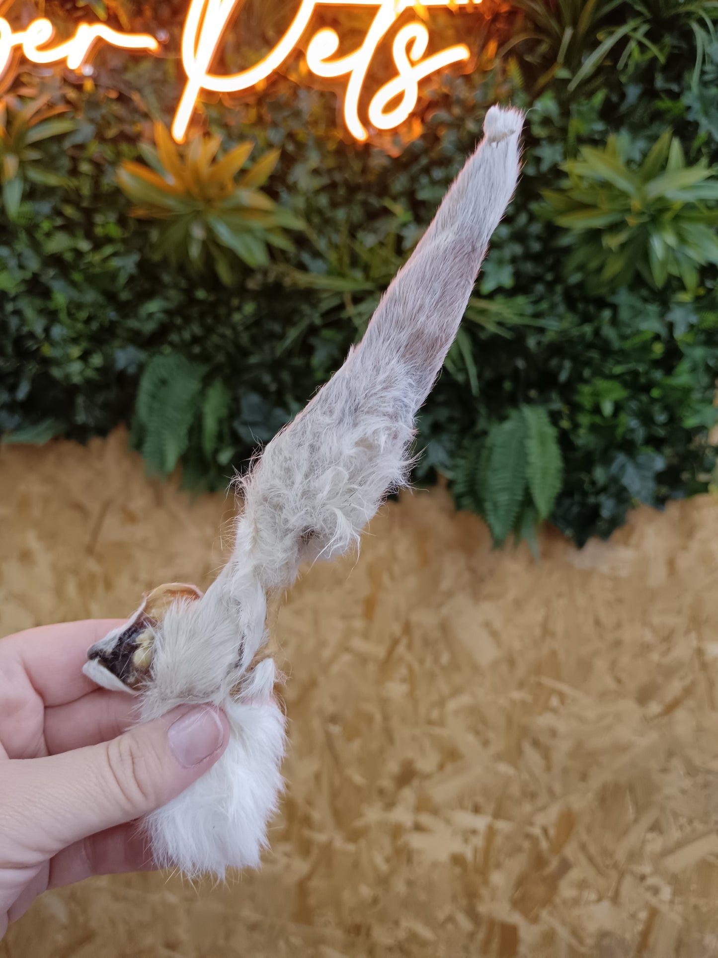JR Natural Rabbit Ears with Hair Singles