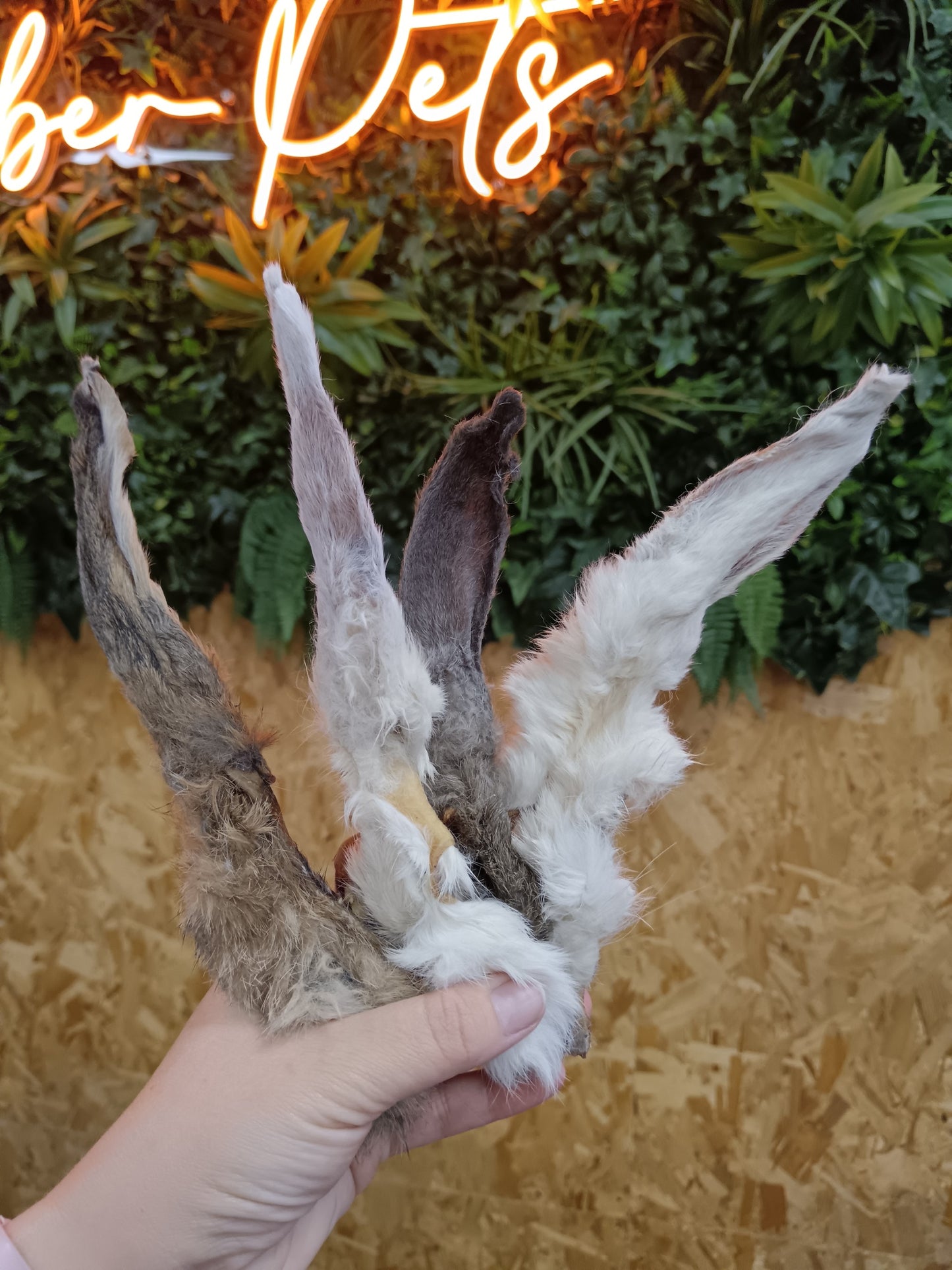 JR Natural Rabbit Ears with Hair Singles