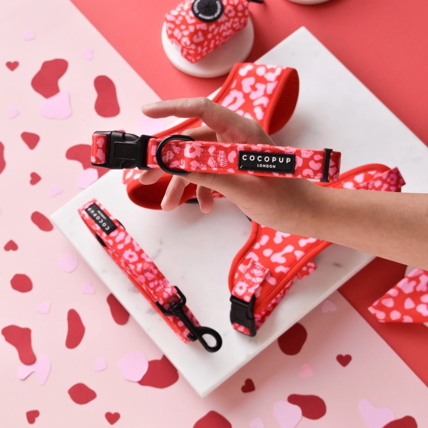 Cocopup London Red & Pink Leopard Dog Collar