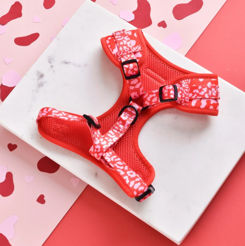 Cocopup London Red & Pink Leopard Dog Harness