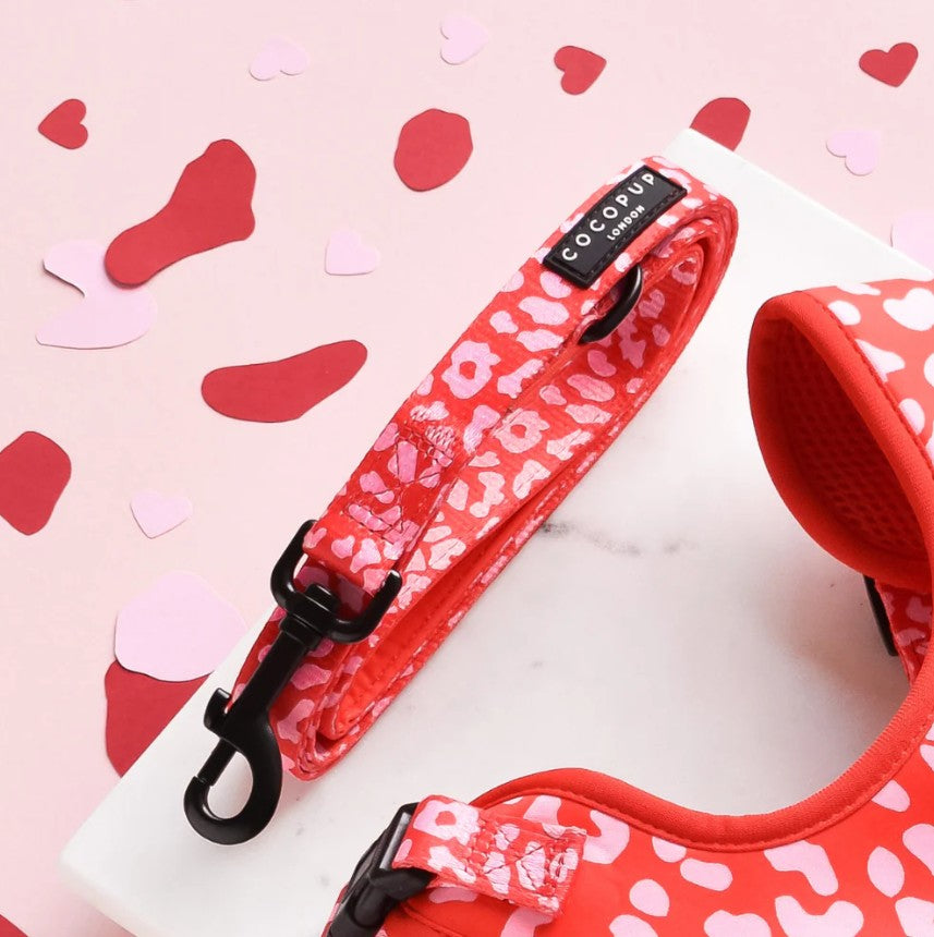 Cocopup London Red & Pink Leopard Dog Lead
