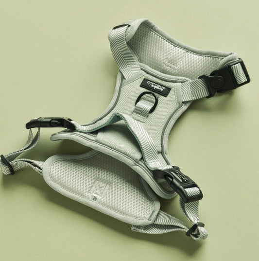 Cocopup London Explore Sage Tweed Dog Harness