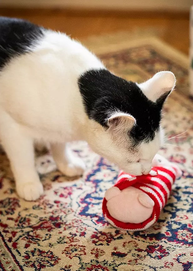 Rosewood Christmas Penny Pig in Blanket Cat Toy