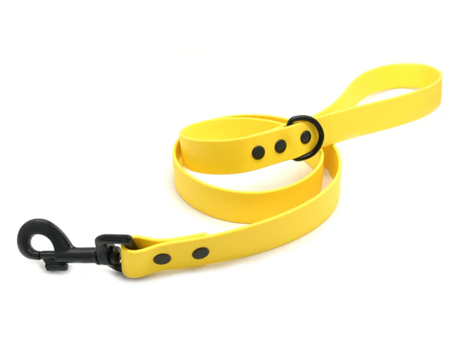 Ditsy Pet Yellow Biothane Lead Small/Medium