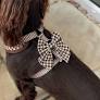 Cocopup London Cotswold Sailor Dog Bow Tie