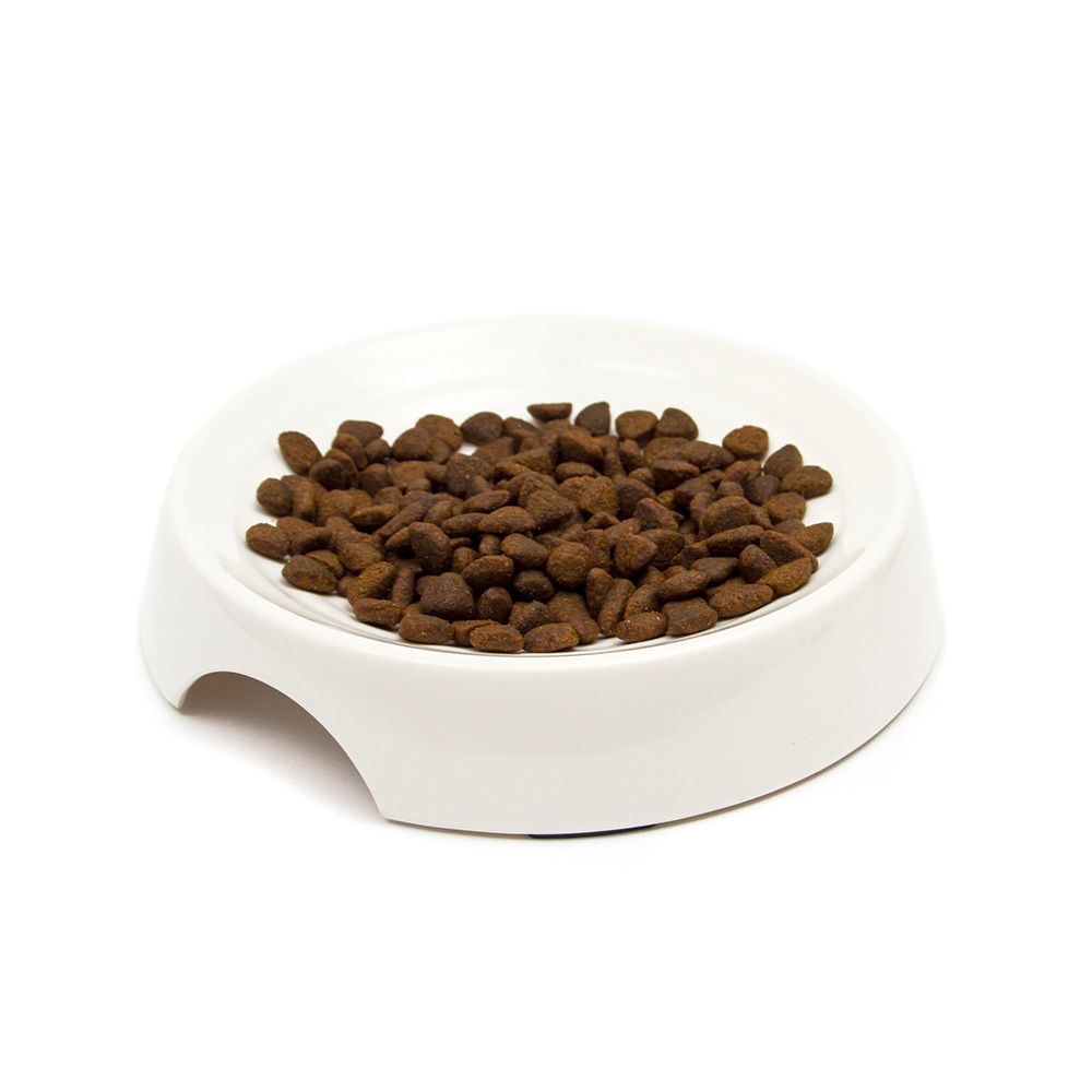 Great&Small Cream Melamine Ripple Cat Dish