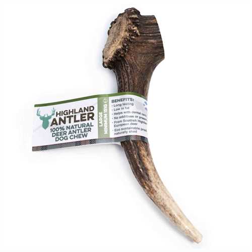 Whole Deer Antlers