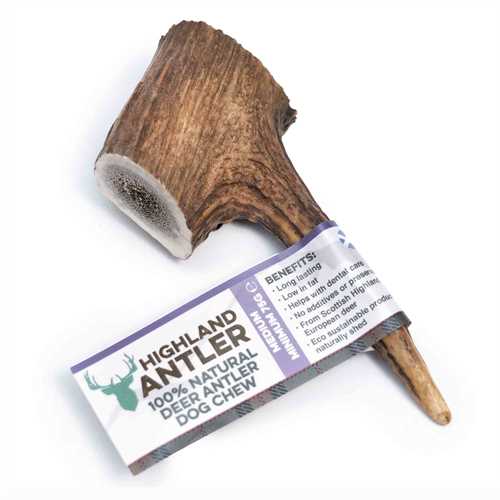 Whole Deer Antlers