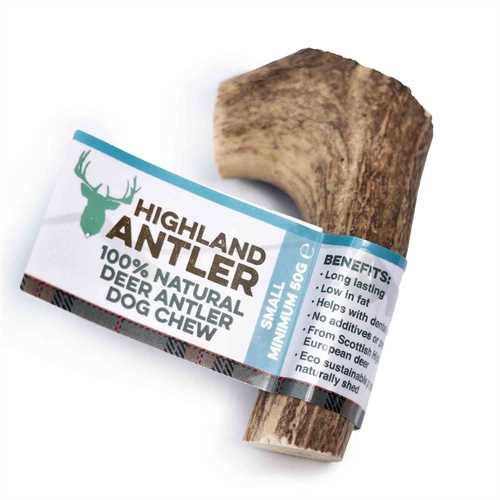 Whole Deer Antlers