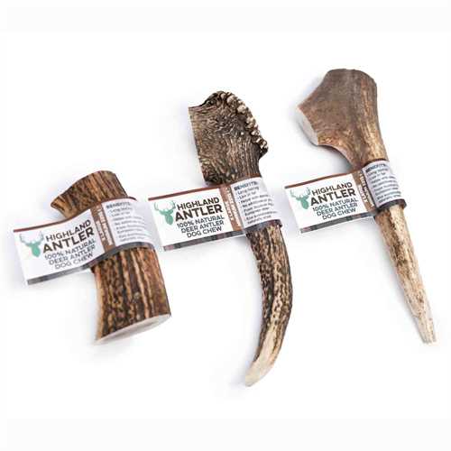Whole Deer Antlers