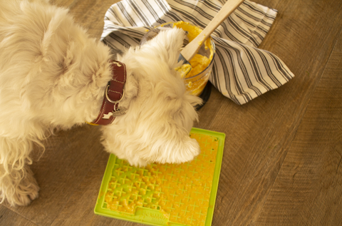 Lickimat Classic Buddy Treat Mat