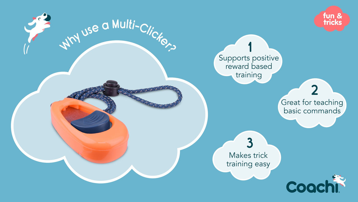 Coachi Multi-Clicker Navy