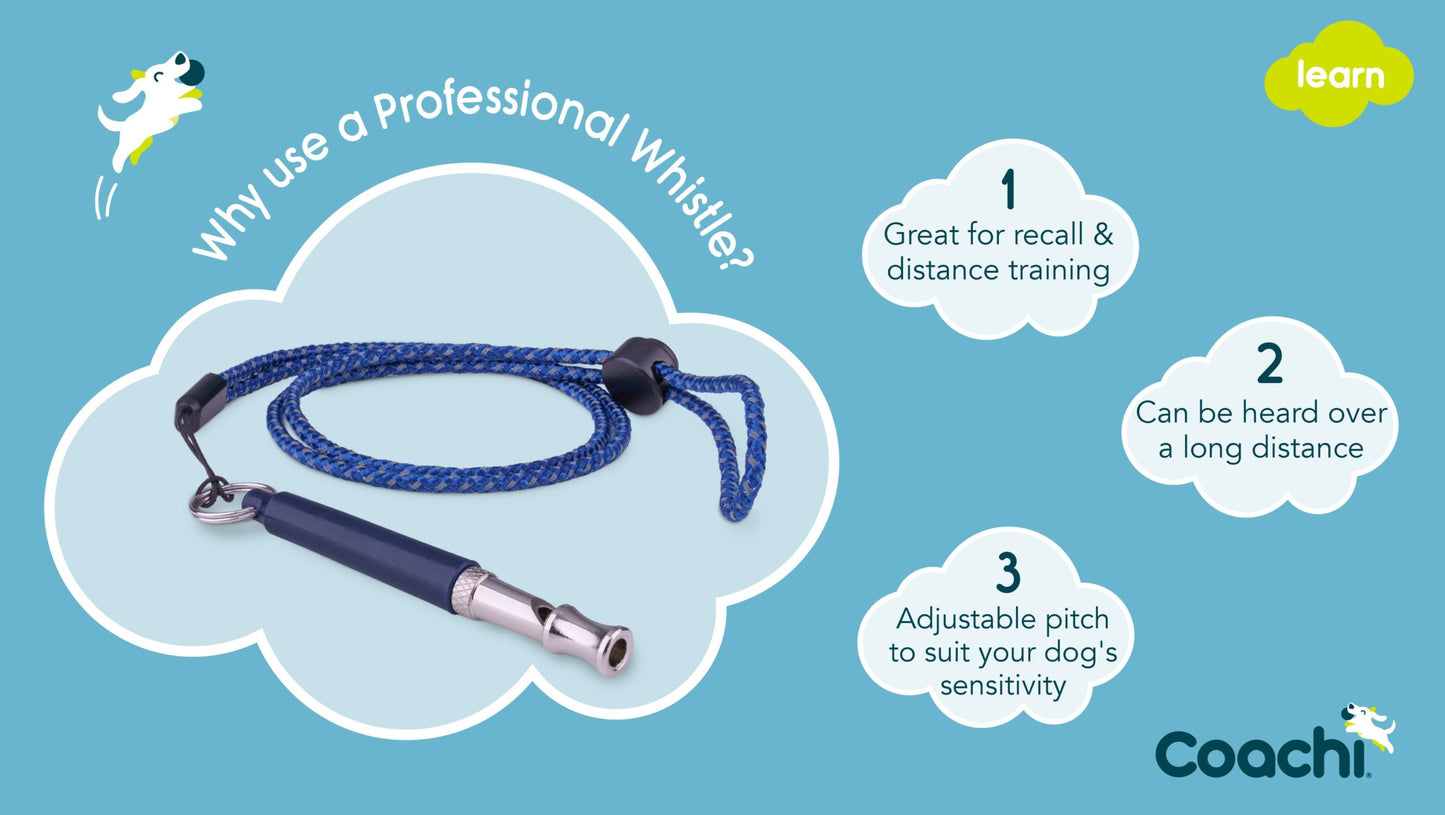 Coachi Professional Training Whistle Navy