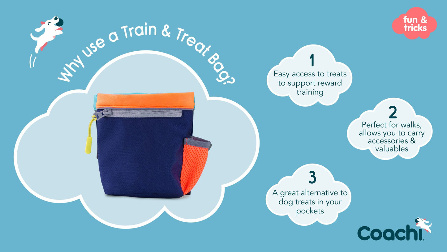 Coachi Train & Treat Bag Navy & Light Blue