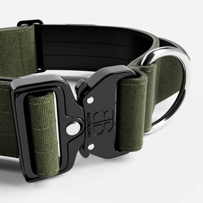 BullyBillows Combat Collar v2.0 Khaki
