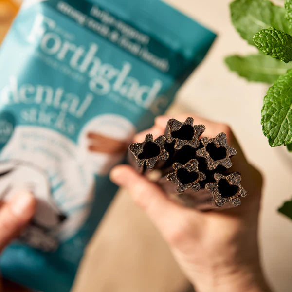 Forthglade Dental Sticks 170g