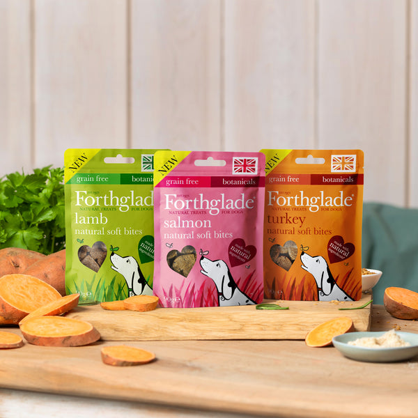 Forthglade Natural Soft Bites Turkey Dog Treats 90g